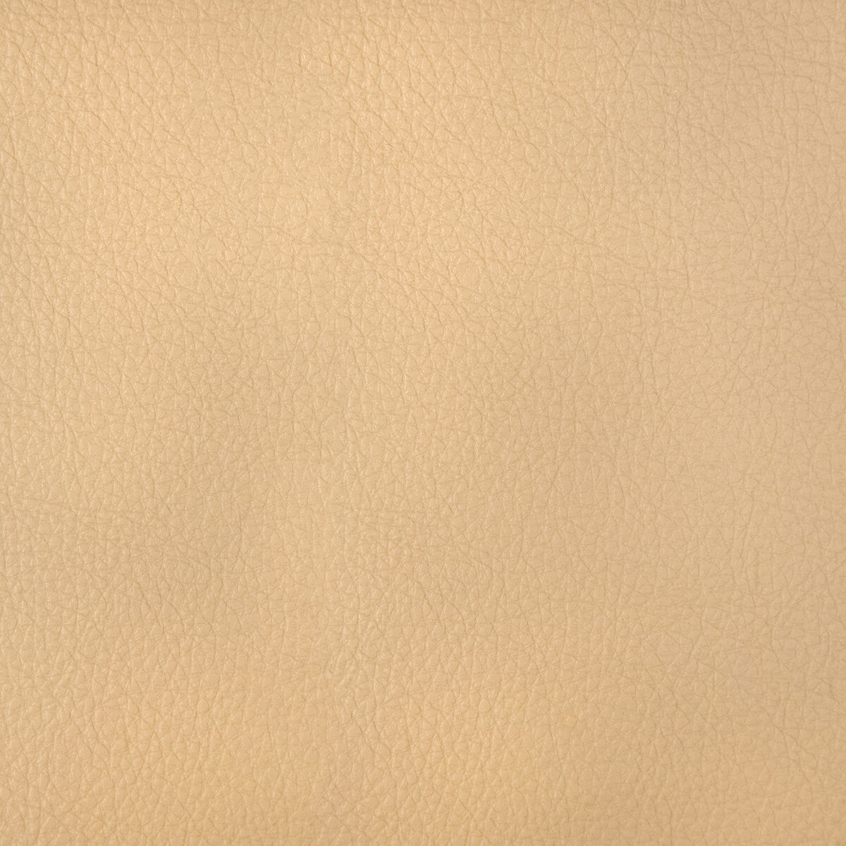 harmony110-kravet-design-harmony-11-kravet-design