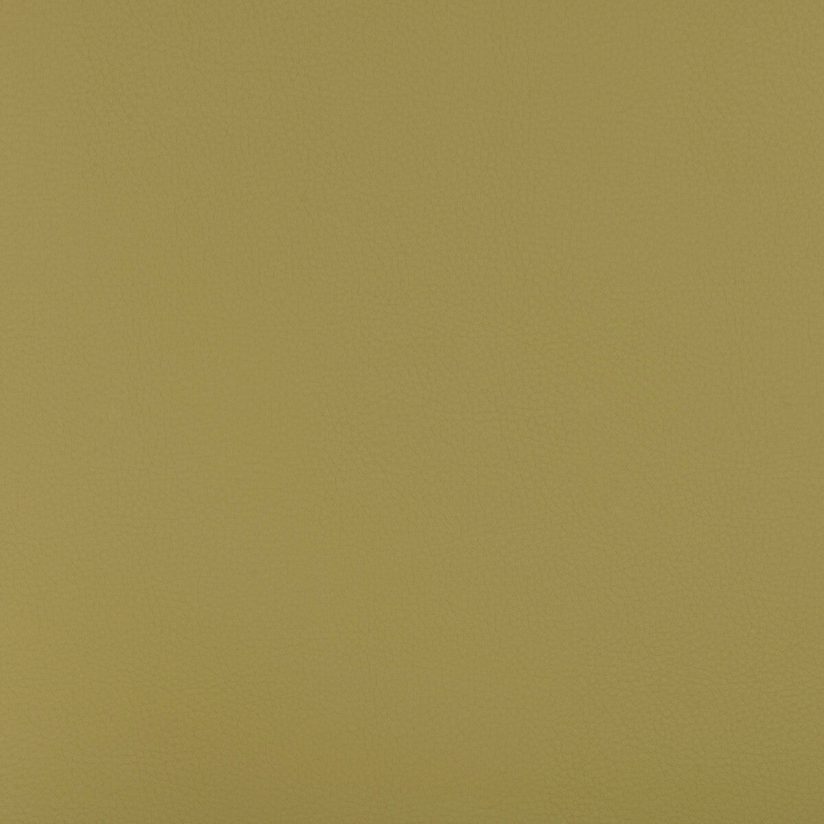 beech230-kravet-design-beech-23-kravet-design