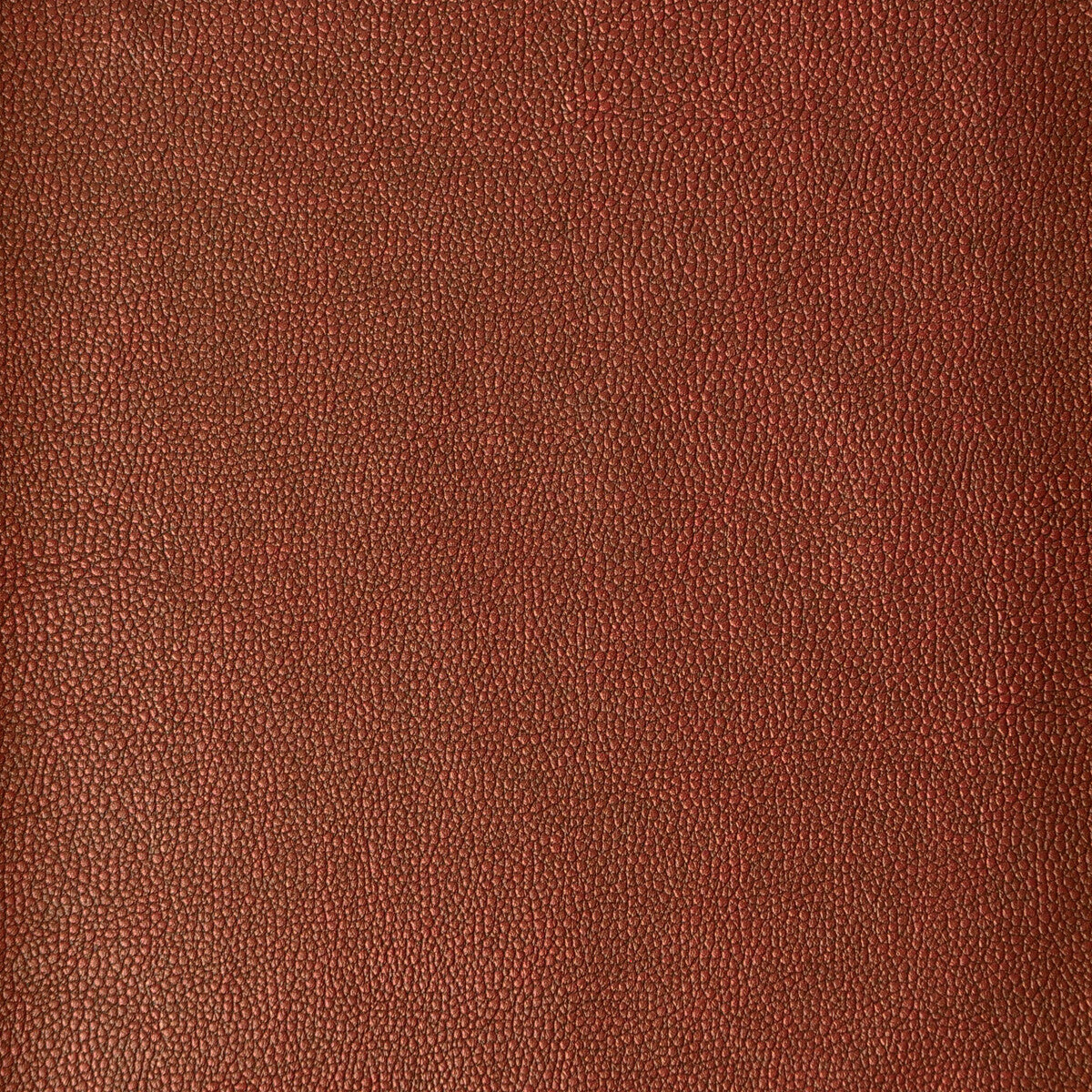 sparta1240-kravet-design-sparta-124-kravet-design