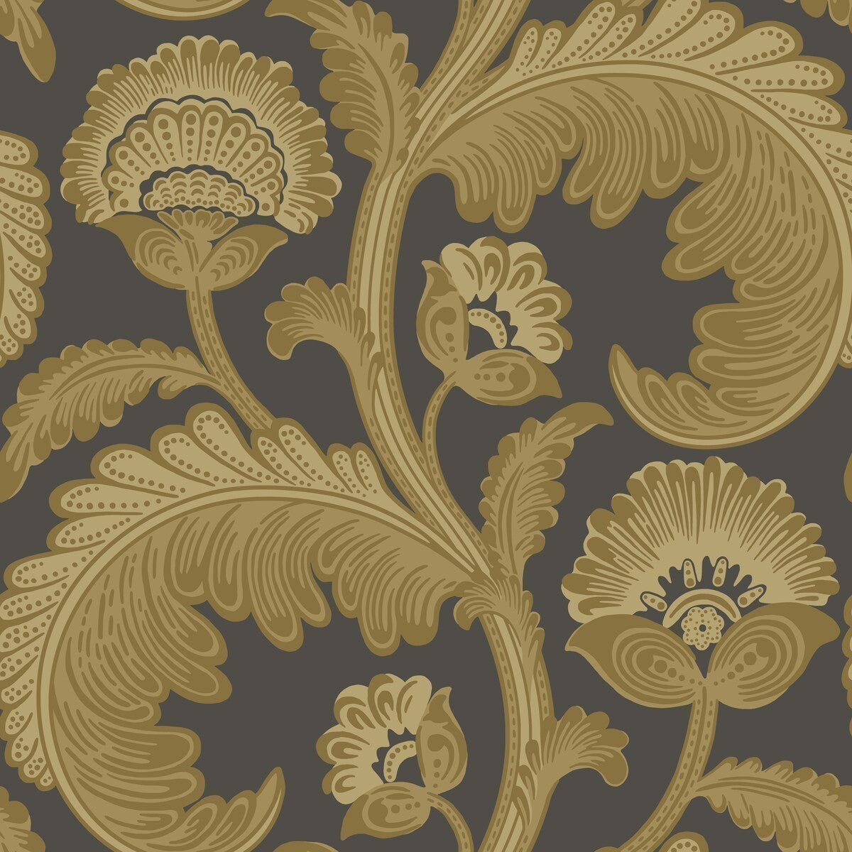 1167027cs0-fanfare-flock-ochrechar-cole-son