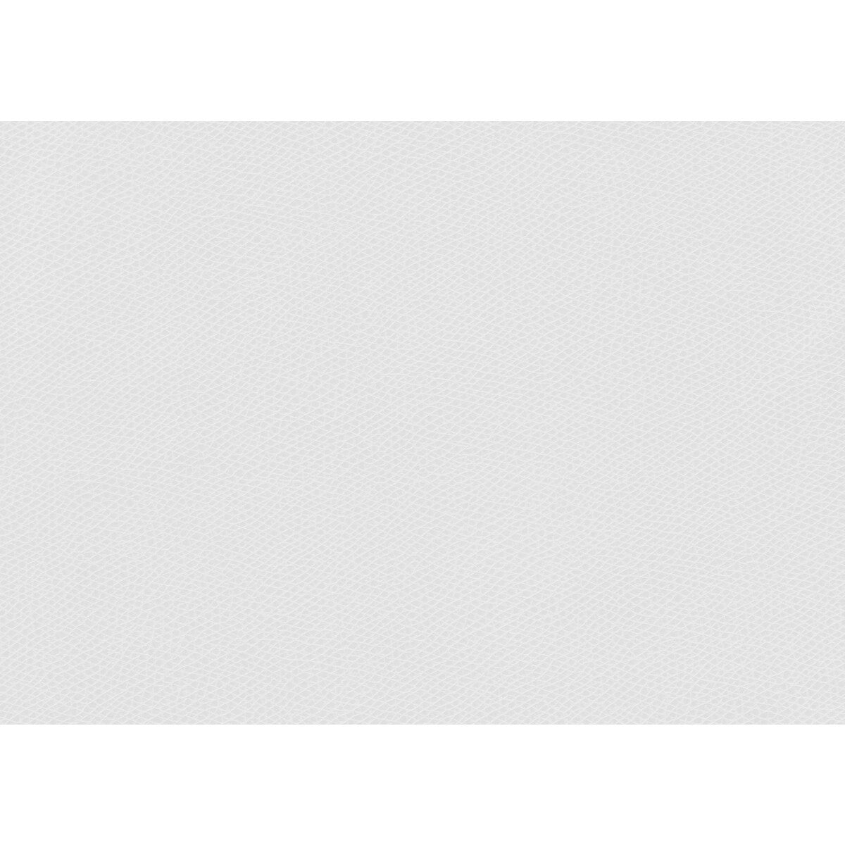 ophidian10-ophidian-marshmallow-kravet-contract