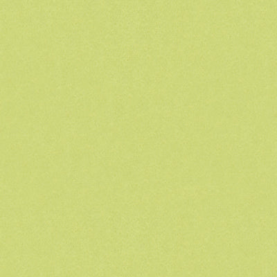 br-897784040-autun-mohair-velvet-celery-brunschwig-fils - BRUNSCHWIG & FILS Fabric