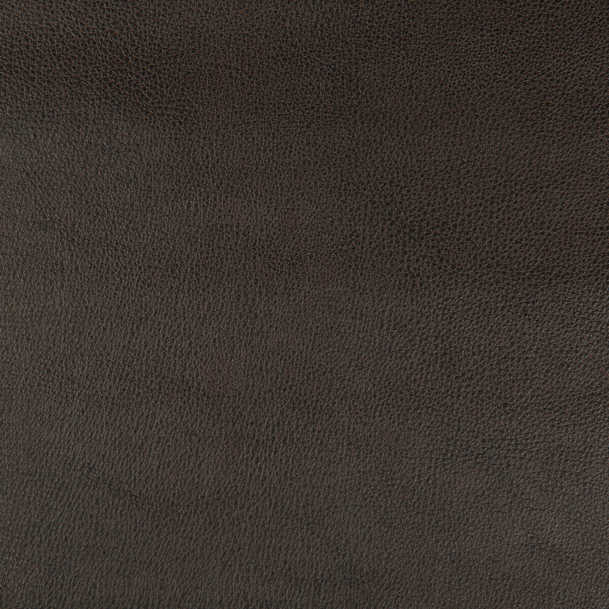dust860-kravet-design-dust-86-kravet-design - KRAVET DESIGN Fabric