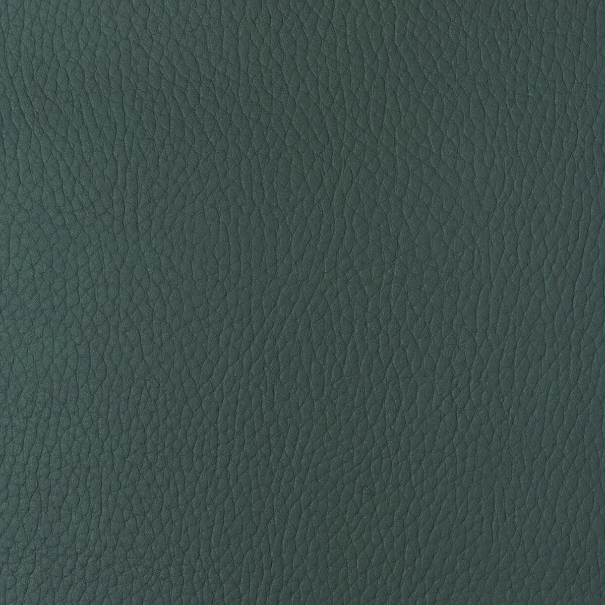 sugarmaple350-kravet-design-sugarmaple-35-kravet-design