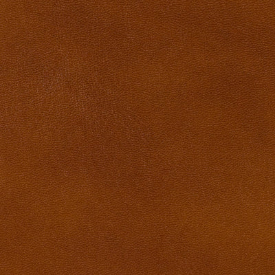 br-200098390-old-english-antiques-leather-brandy-brunschwig-fils - BRUNSCHWIG & FILS Fabric