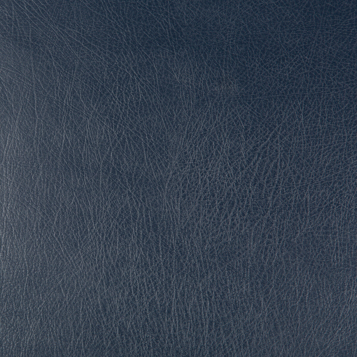 deimos500-kravet-design-deimos-50-kravet-design - KRAVET DESIGN Fabric