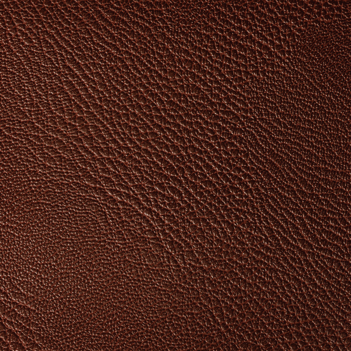 rustler90-rustler-port-kravet-contract