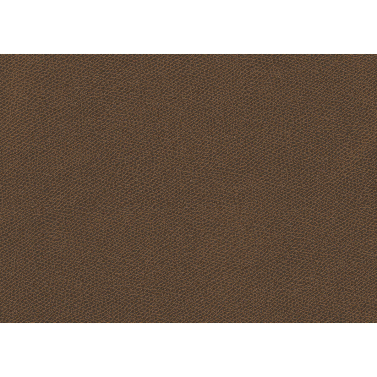 ophidian6160-ophidian-maple-kravet-contract