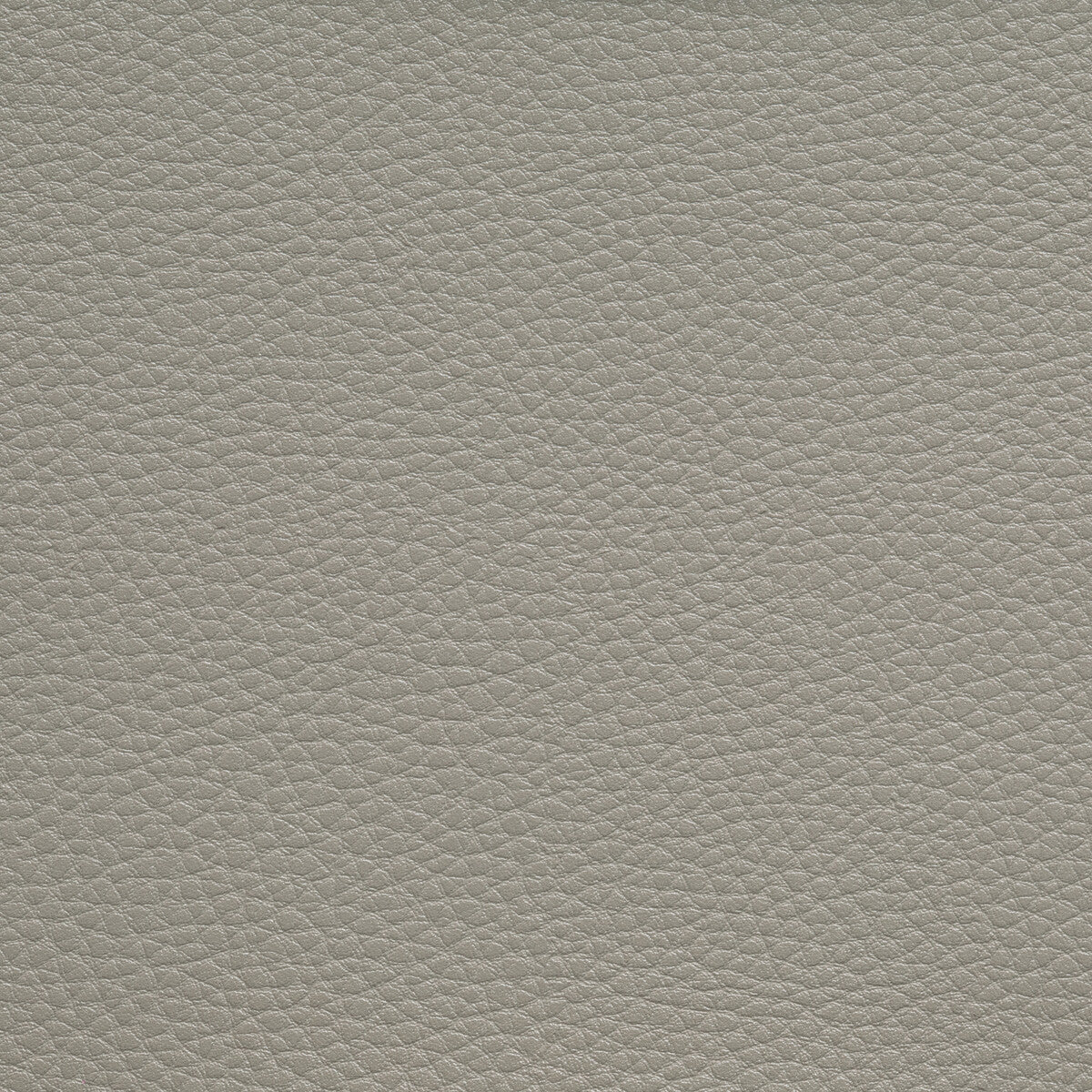 boone16110-boone-chinchilla-kravet-contract