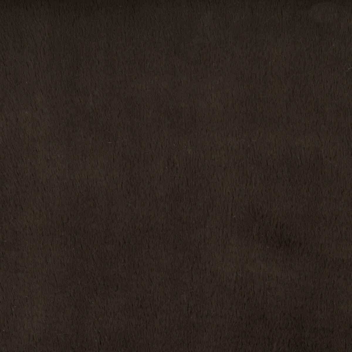 3464260-kravet-basics-34642-6 - KRAVET BASICS Fabric