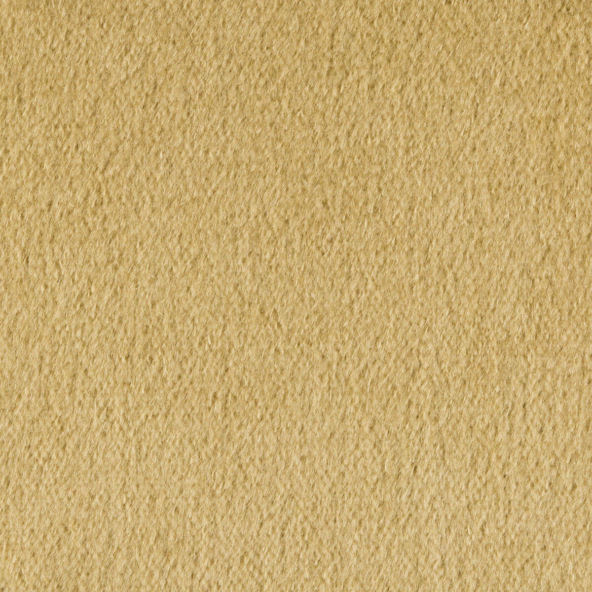 br-897784050-autun-mohair-velvet-lichen-brunschwig-fils - BRUNSCHWIG & FILS Fabric