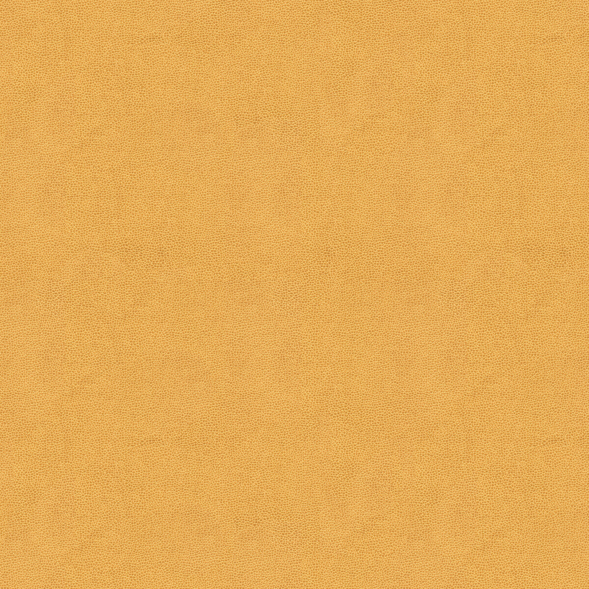 impact1160-impact-sand-kravet-couture