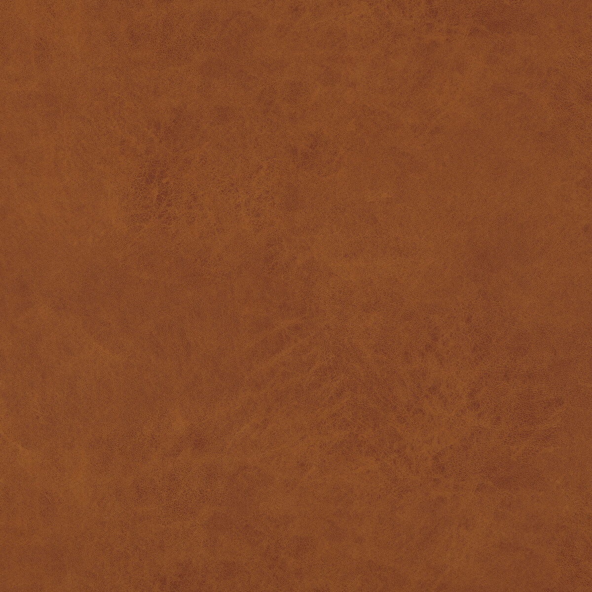 pf504123150-lexham-amber-baker-lifestyle
