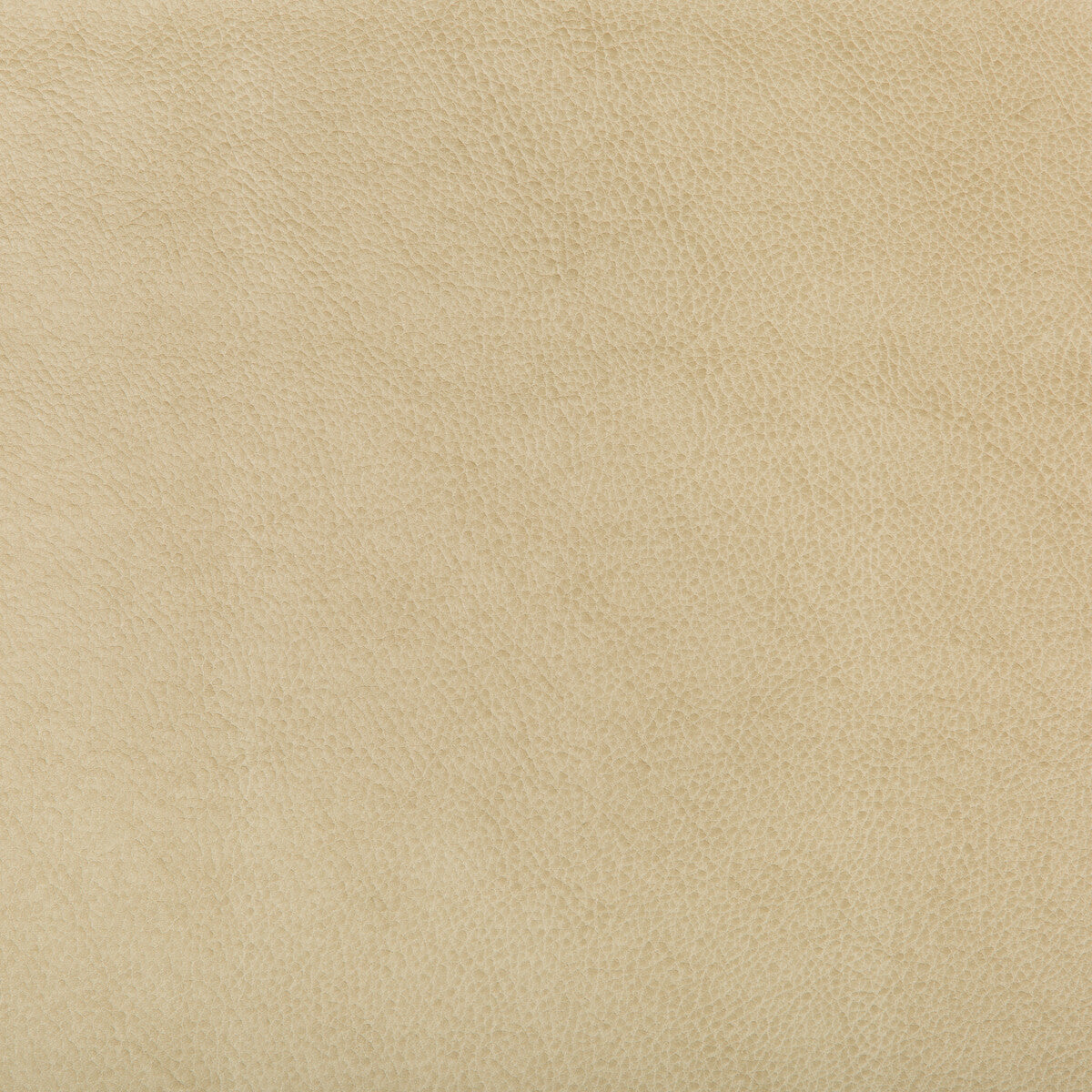 ruffian160-kravet-design-ruffian-16-kravet-design