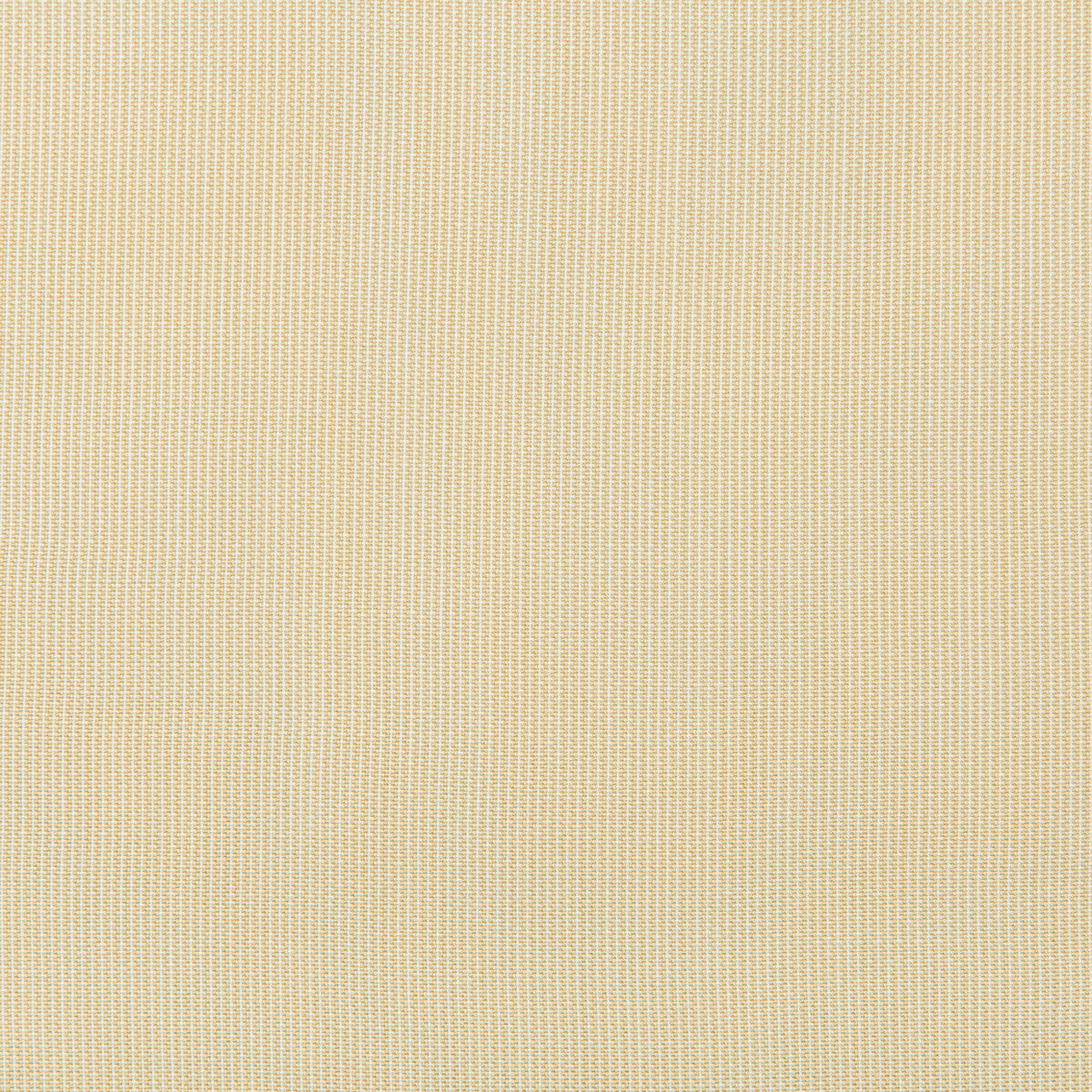 36820160-kravet-basics-36820-16