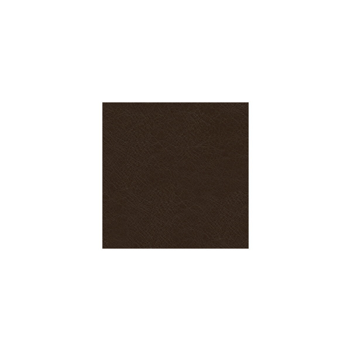 l-timelesschocolate0-kravet-design-l-timeless-chocolate-kravet-design