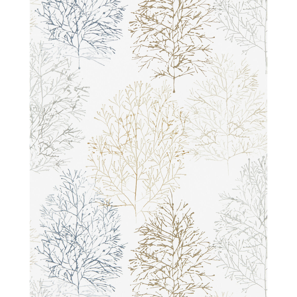 nzaw112003scn0-soetsu-wp-spiceraffia-scion