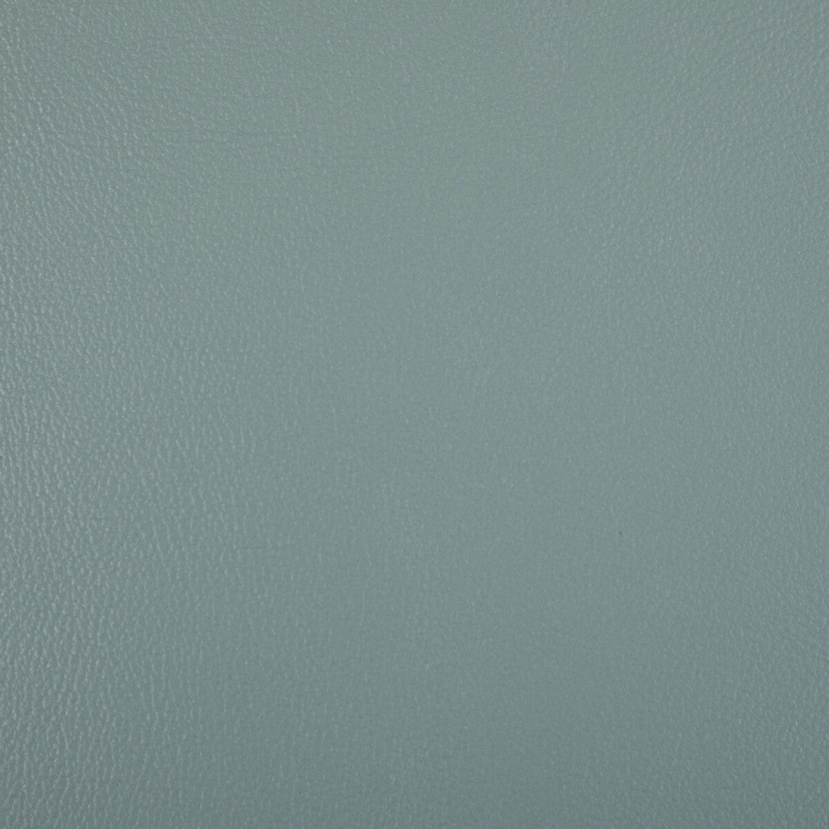 rand1130-rand-mirage-kravet-contract