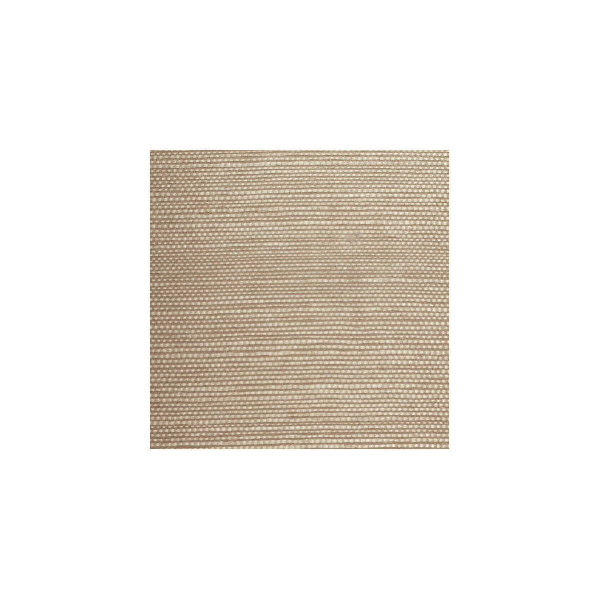 wbg5105wt0-plain-grounds-0-winfield-thybony - WINFIELD THYBONY Wallpaper