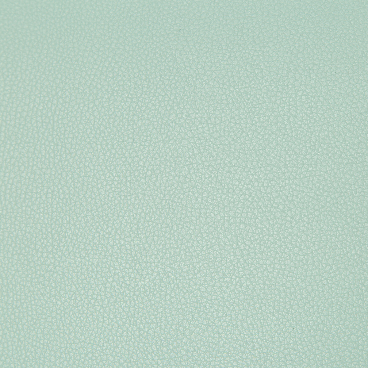 syrus15350-syrus-robins-egg-kravet-contract