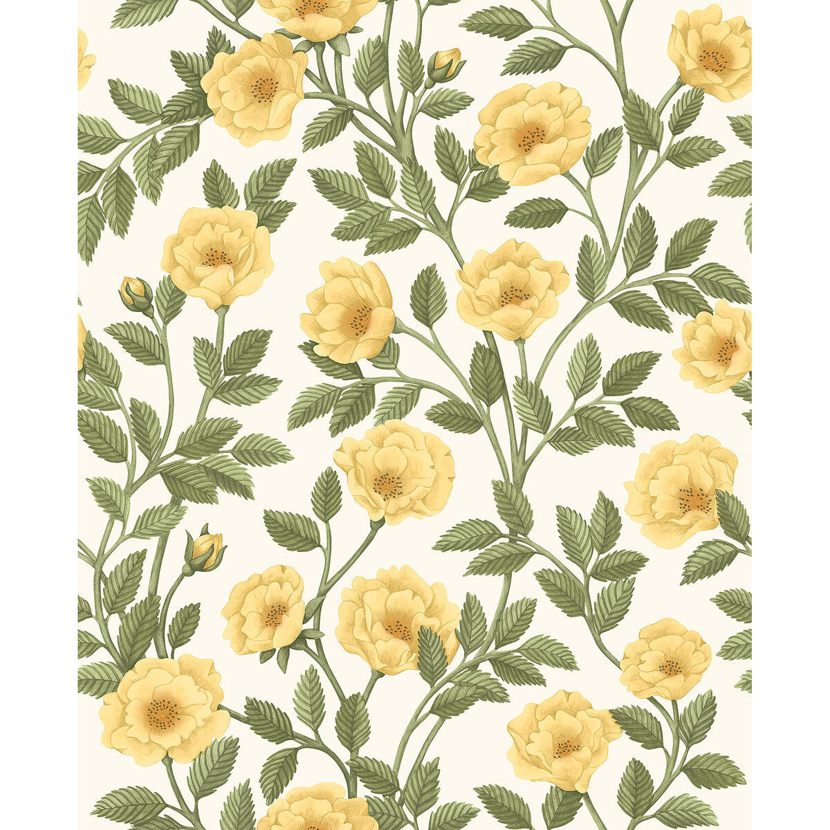 1187015cs0-hampton-roses-mrgogrnwh-cole-son - COLE & SON Wallpaper