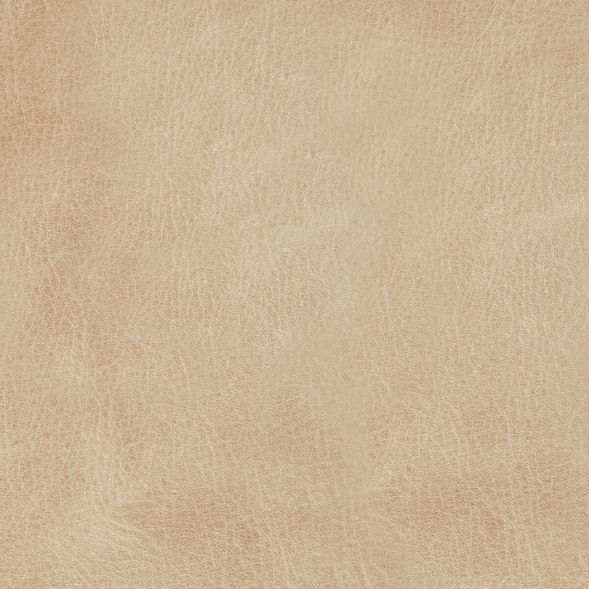 l-manedrift0-kravet-design-l-mane-drift-kravet-design