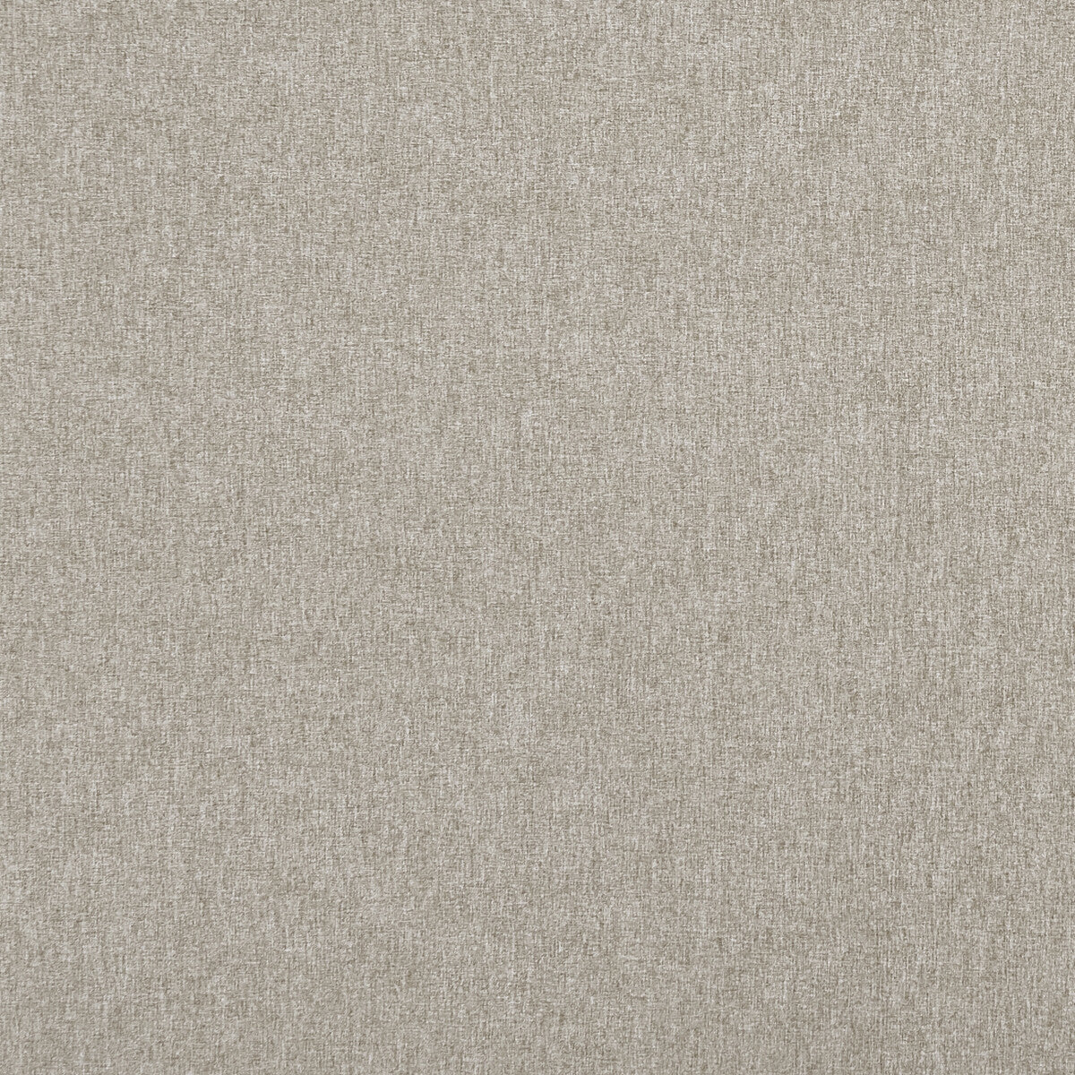 f084863cac0-highlander-seal-clarke-and-clarke - CLARKE AND CLARKE Fabric