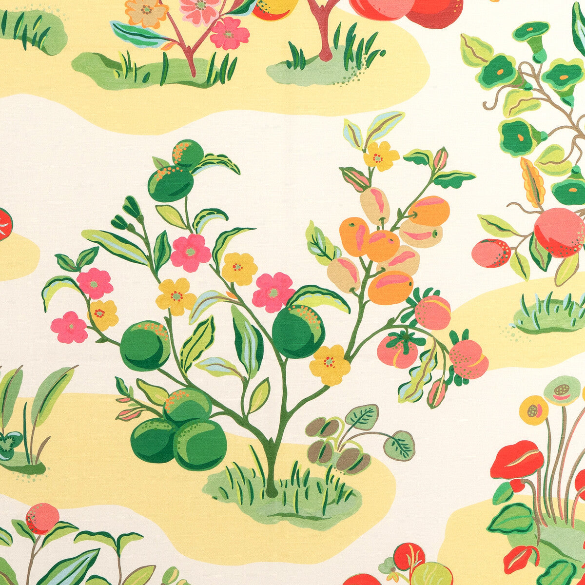 8024121730-pomelo-print-spring-brunschwig-fils
