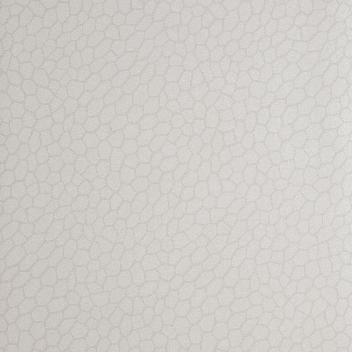 w005804cac0-playa-parchment-clarke-and-clarke