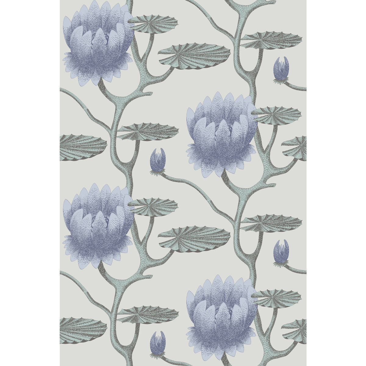 954024cs0-summer-lily-bluaqpearl-cole-son - COLE & SON Wallpaper
