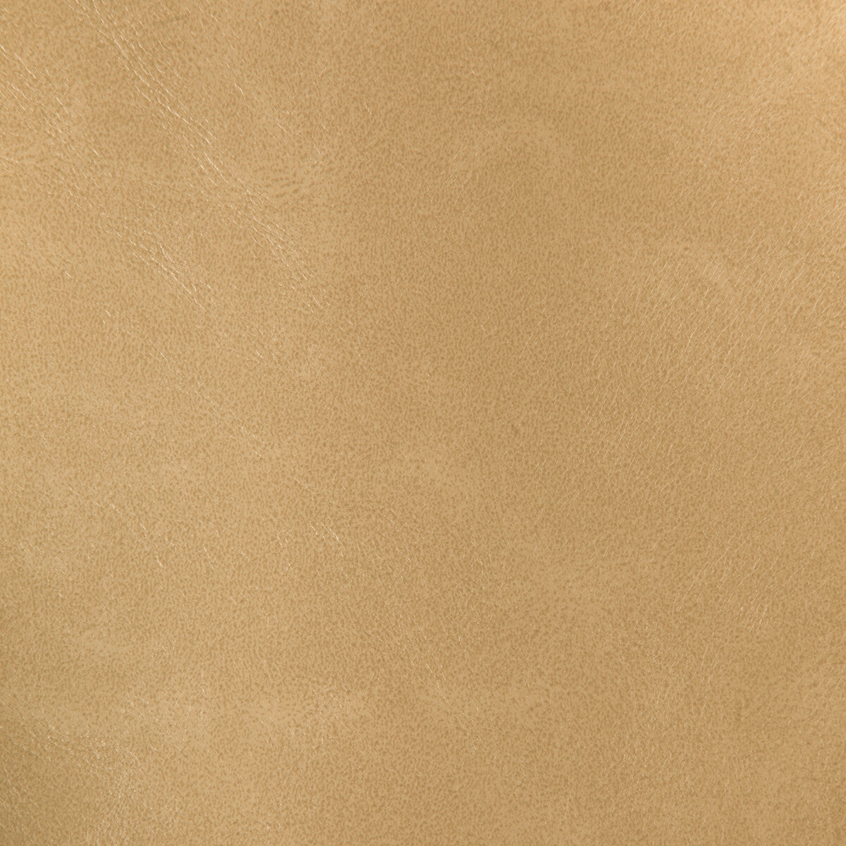 rind160-kravet-design-rind-16-kravet-design