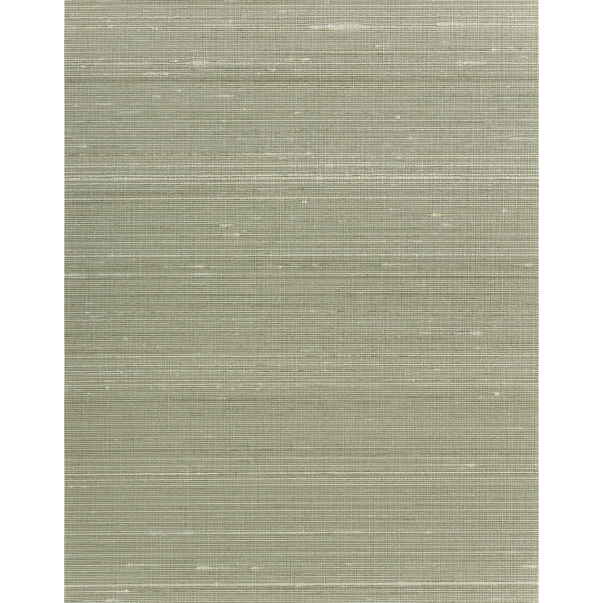 wns5556wt0-ambrose-sage-winfield-thybony - WINFIELD THYBONY Wallpaper