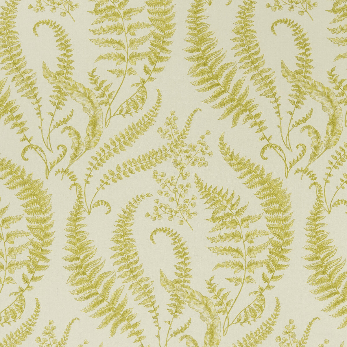 f132801cac0-folium-chartreuse-clarke-and-clarke