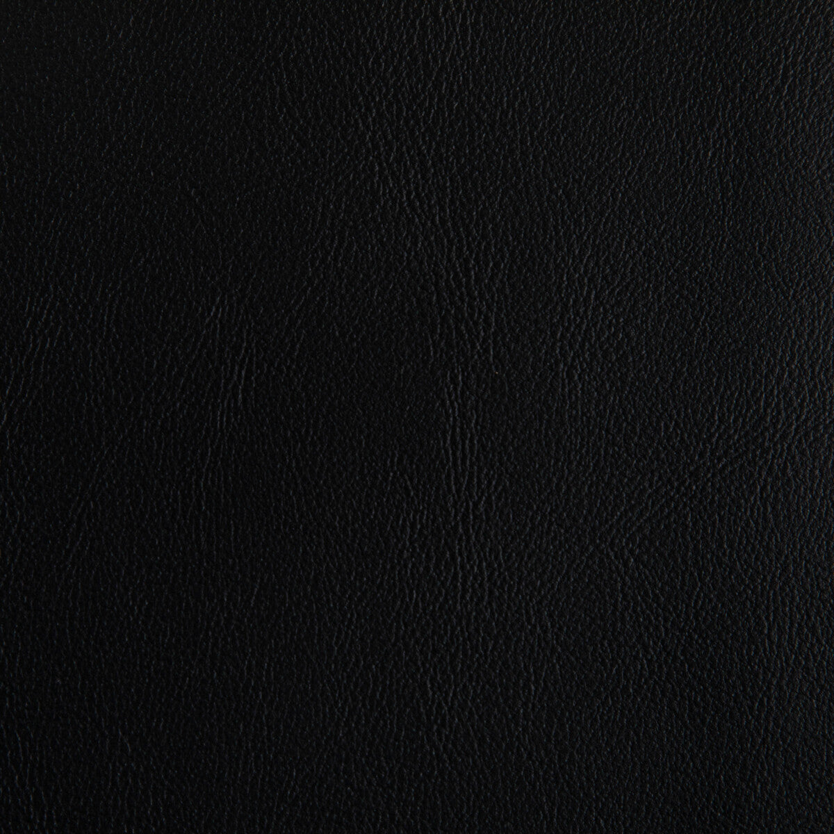 rand80-rand-stallion-kravet-contract