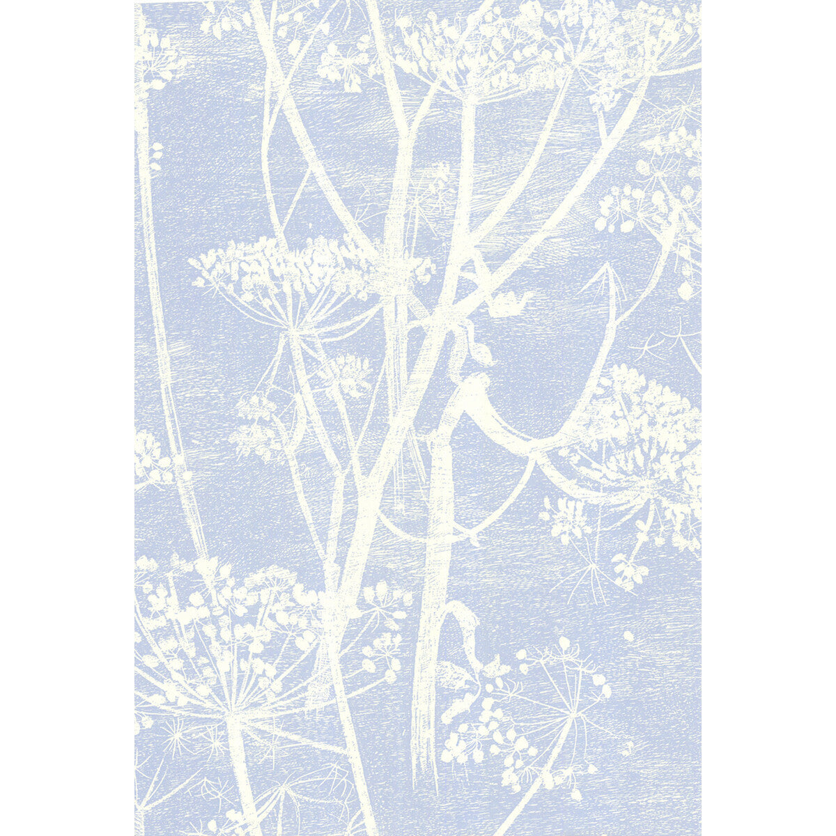 667050cs0-cow-parsley-whiteblu-cole-son - COLE & SON Wallpaper