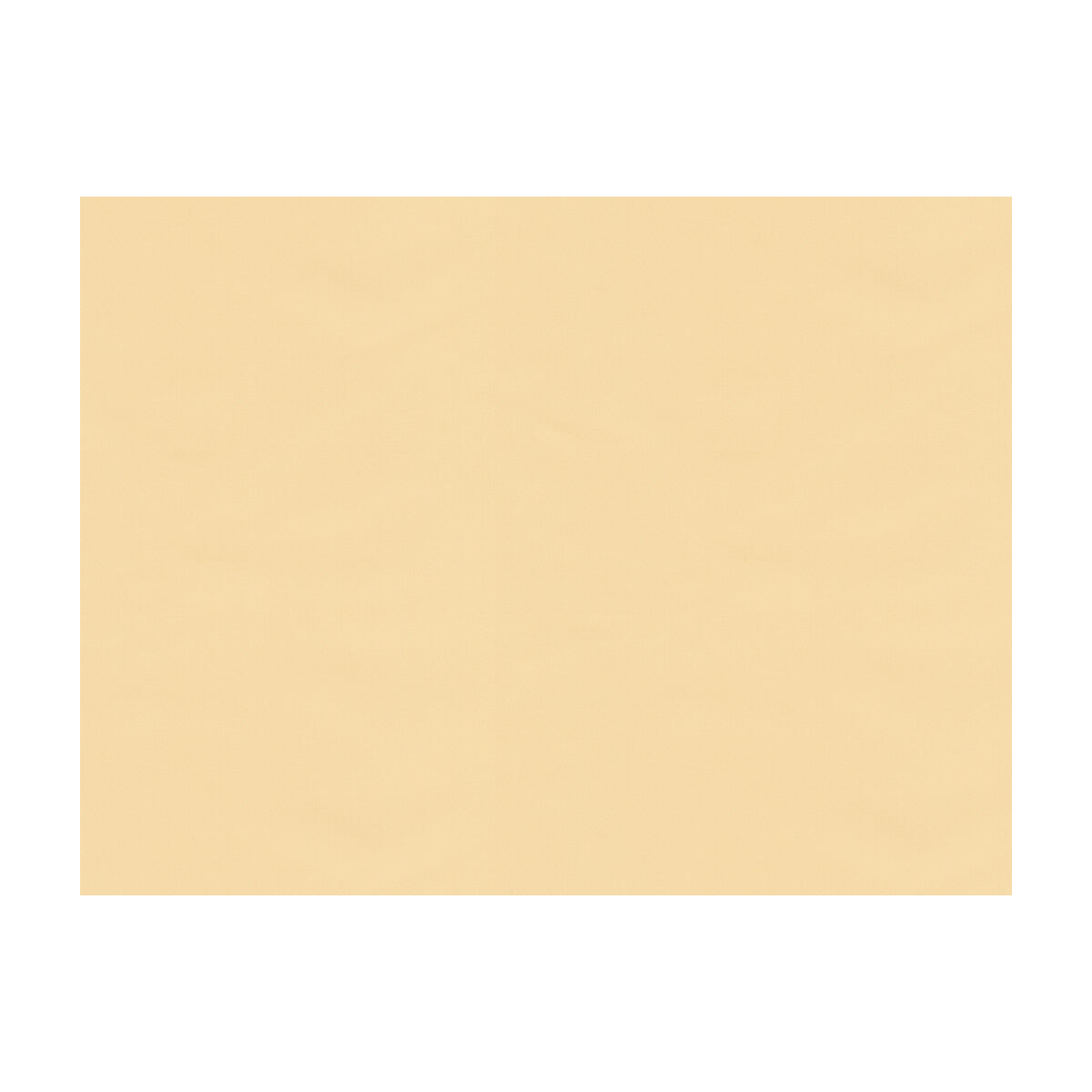 br-81081ppa0-ninon-taffetas-beige-brunschwig-fils - BRUNSCHWIG & FILS Fabric