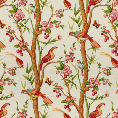 br-716221070-toucans-pinkorange-brunschwig-fils - BRUNSCHWIG & FILS Fabric
