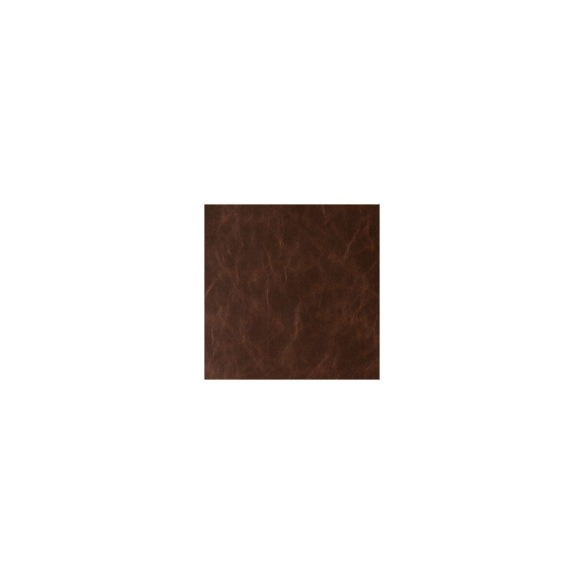 daytripper60-daytripper-hot-chocolate-kravet-contract - KRAVET CONTRACT Fabric