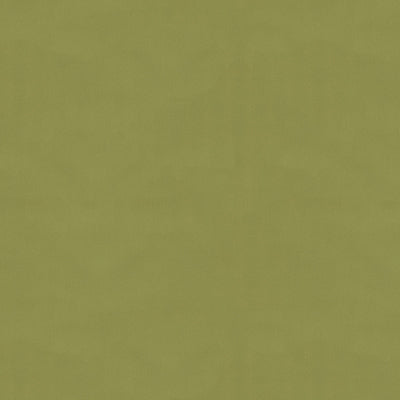 br-810814890-ninon-taffetas-fern-brunschwig-fils
