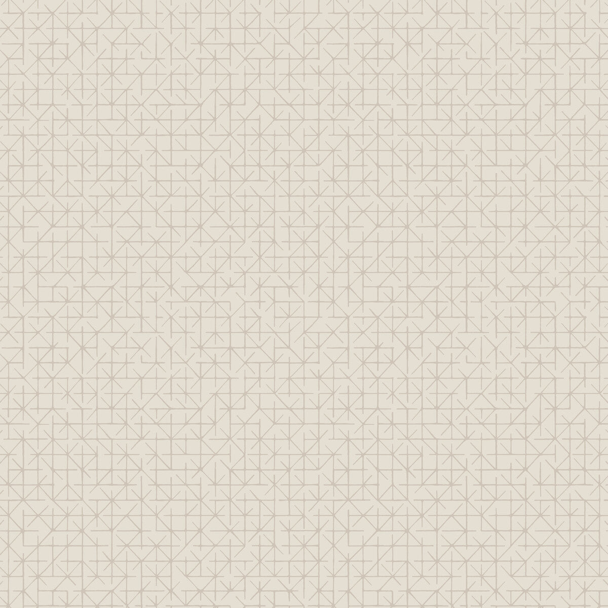 whf2027wt0-maritime-beech-winfield-thybony - WINFIELD THYBONY Wallpaper