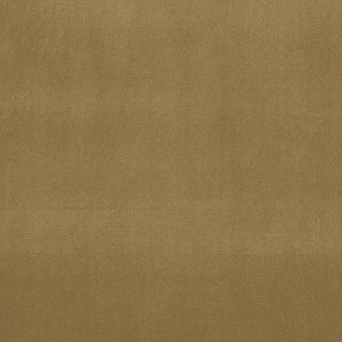 f075321cac0-alvar-antique-clarke-and-clarke - CLARKE AND CLARKE Fabric