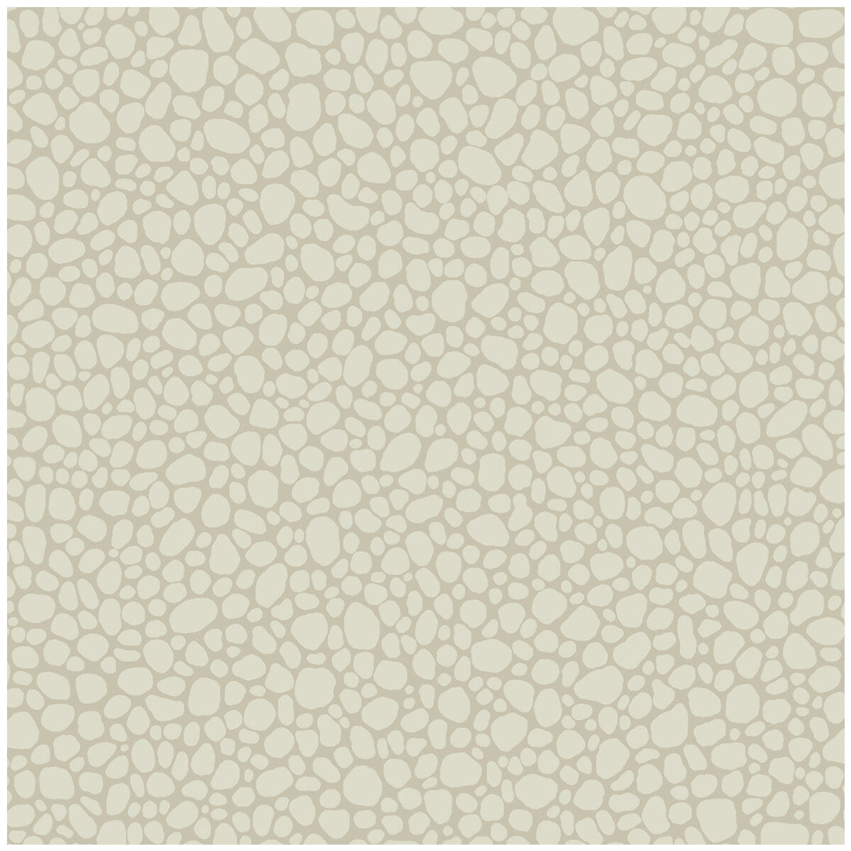 1062021cs0-pebble-stone-cole-son
