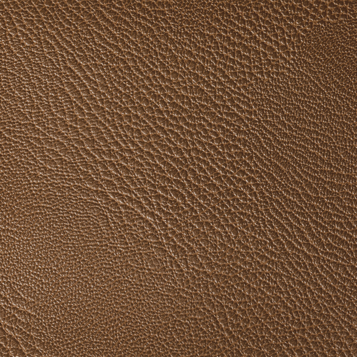 rustler640-rustler-saddle-kravet-contract