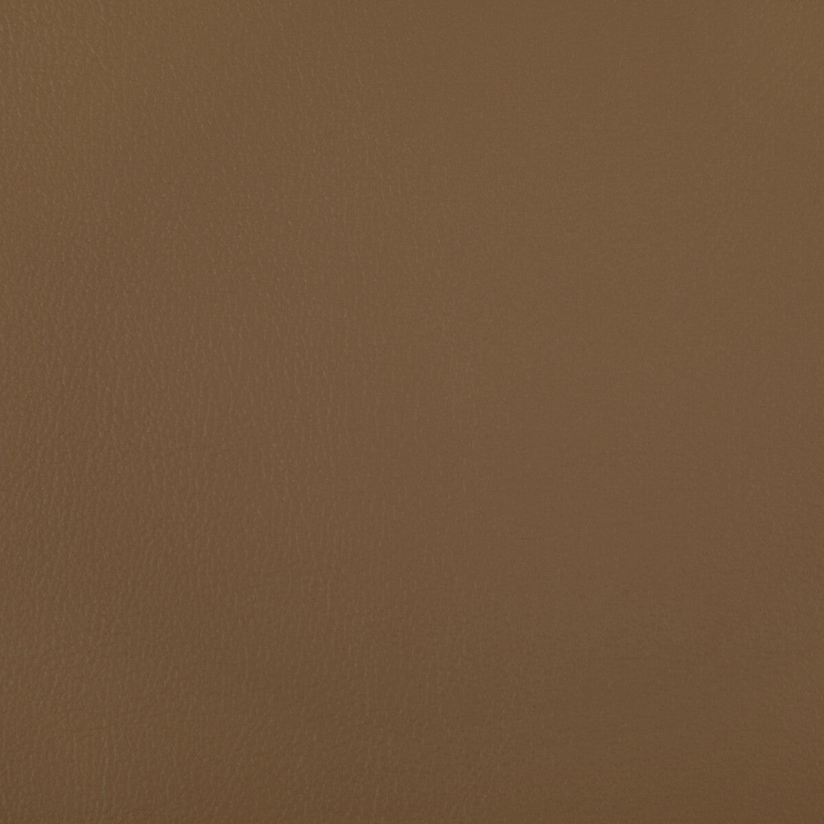 rand160-rand-saddle-kravet-contract