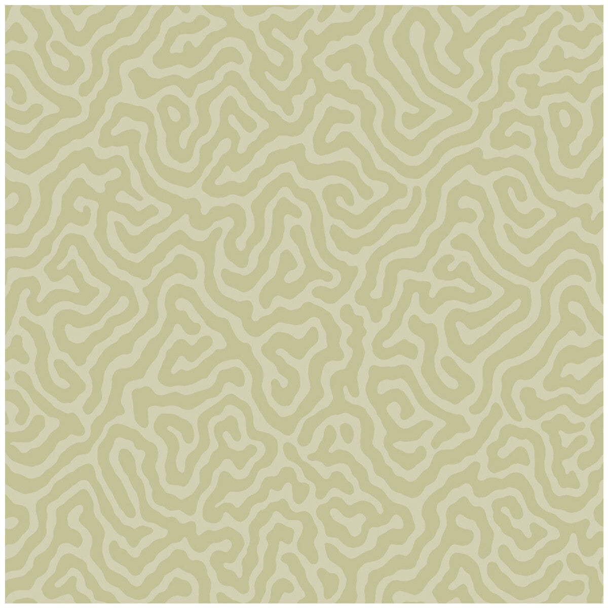 1065067cs0-coral-old-olive-cole-son
