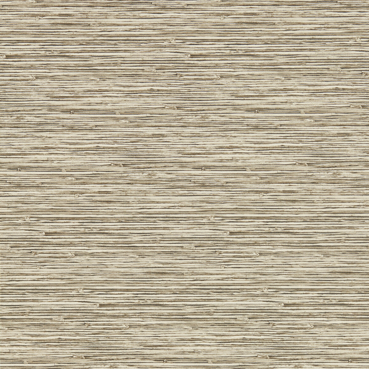w019203cac0-xan-linen-wp-clarke-and-clarke