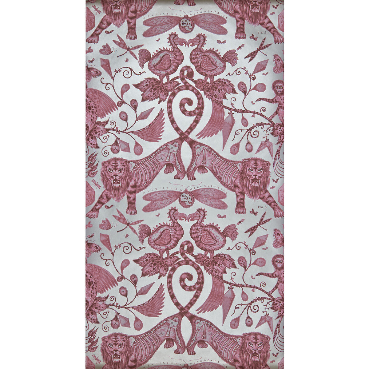 w010003cac0-extinct-magenta-clarke-and-clarke - CLARKE AND CLARKE Wallpaper