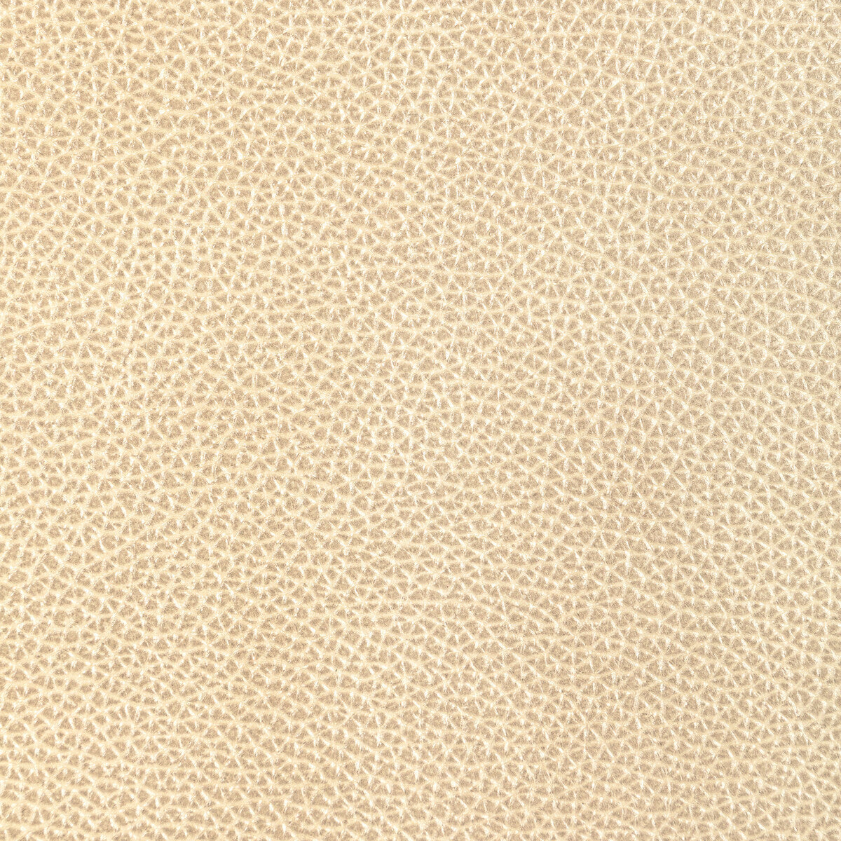 l-dixiechampagne0-kravet-design-l-dixie-champagne-kravet-design