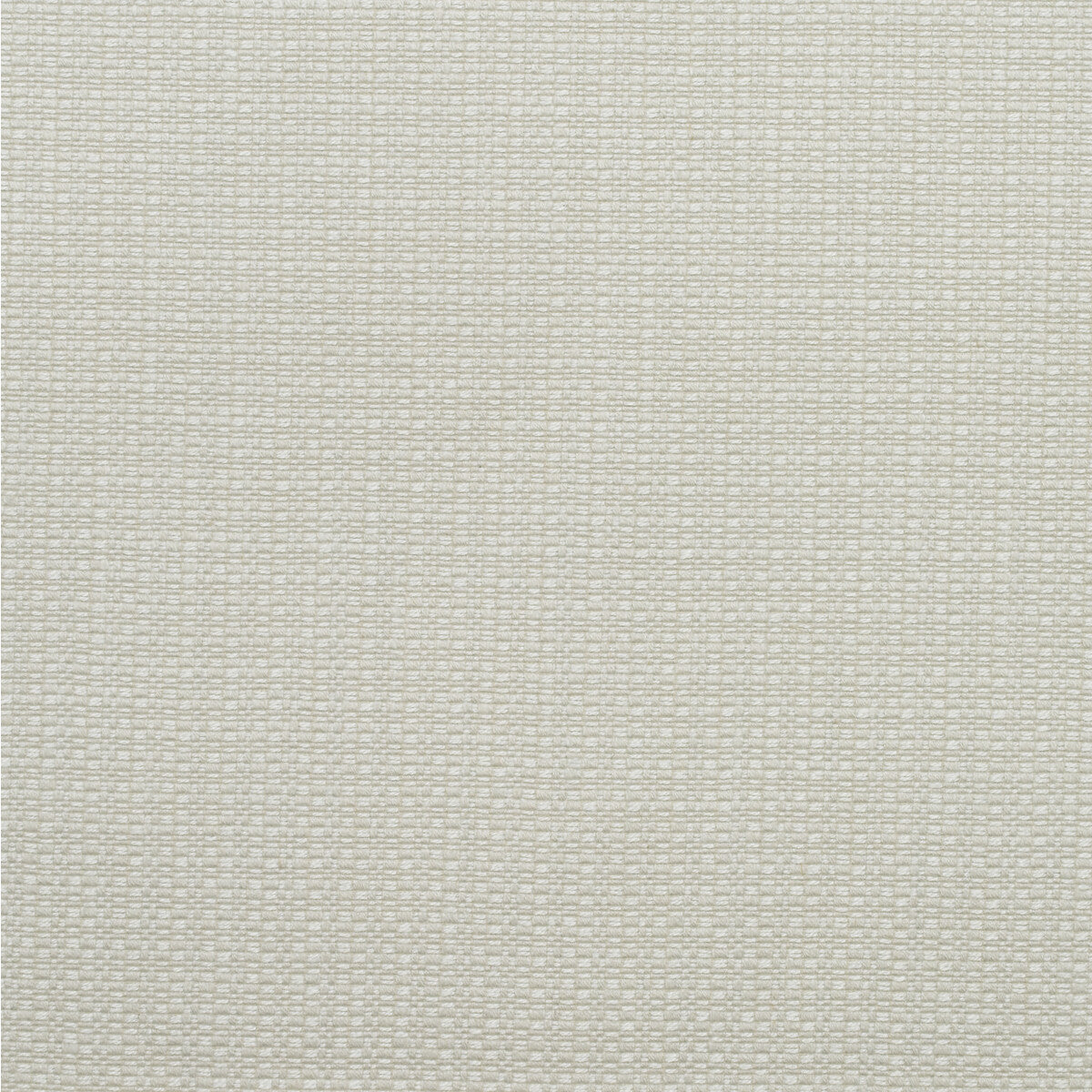 am10039010-birch-chalk-kravet-couture