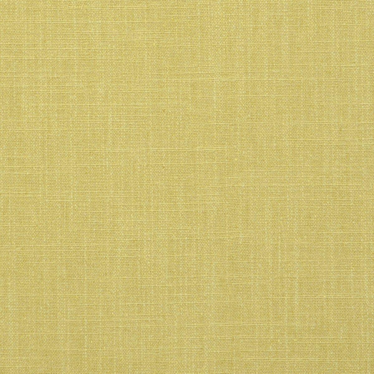 f073601cac0-easton-acacia-clarke-and-clarke - CLARKE AND CLARKE Fabric